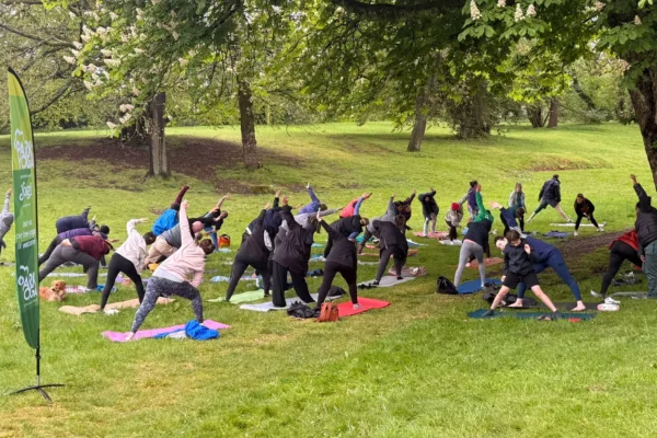 People doing yoga in a park