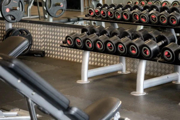 Dumbells and inclined bench