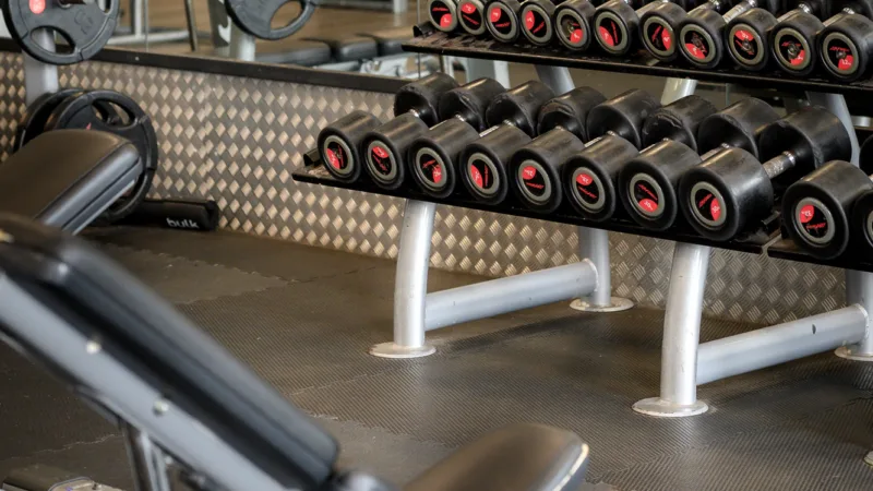 Dumbells and inclined bench